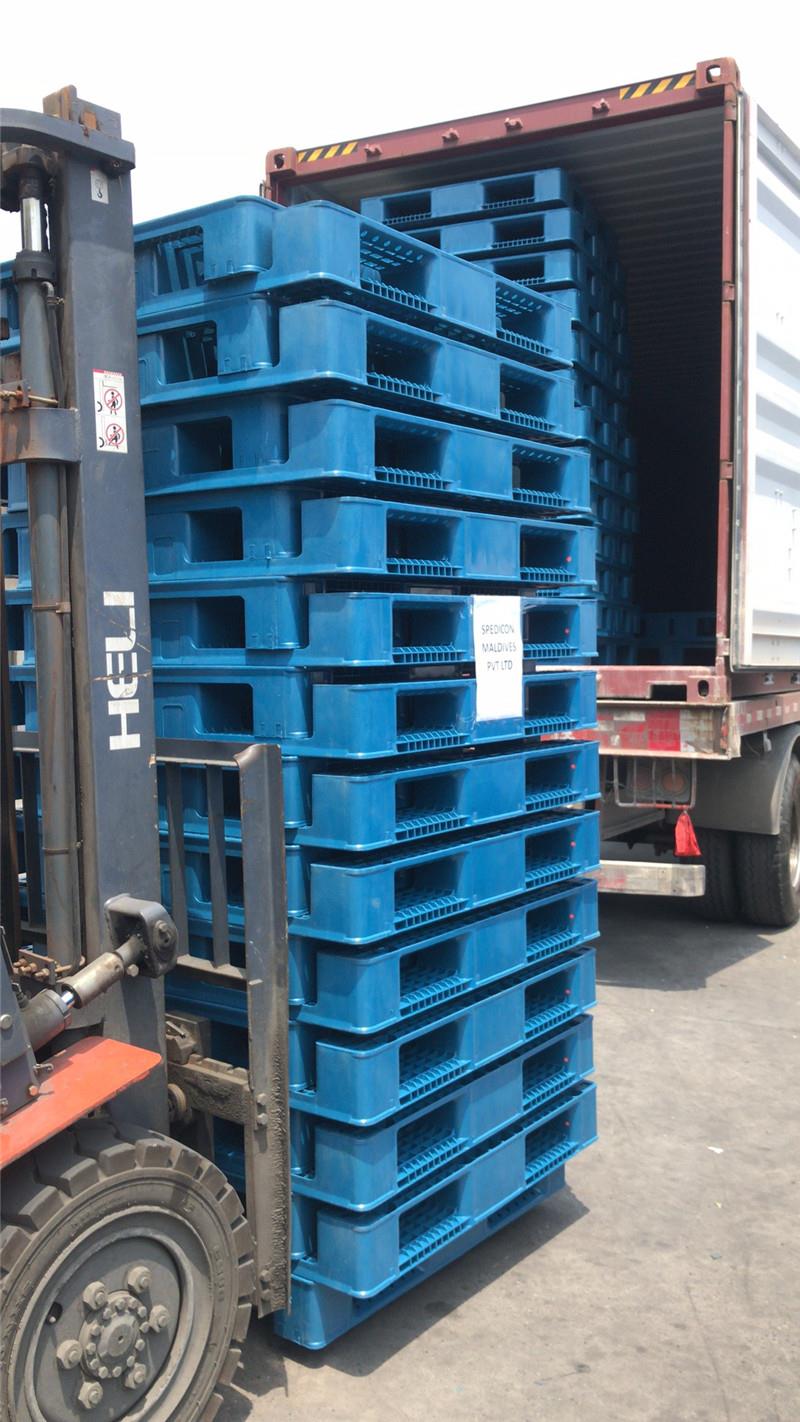480db 1111 műanyag raklap szállít Maldív-szigetekre 02 480pcs 1111 plastic pallet make shipment to Maldives 02